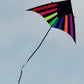 Delta Kite Black Beauty