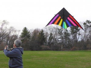 Delta Kite Black Beauty