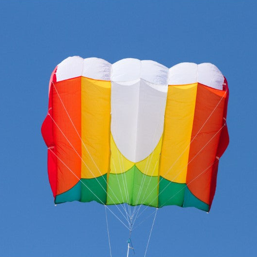 KAP Foil 1.6 Kite + 23' Fringe Tail