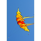 HQ Bow Kite Sunrise Hoffmann Large 118" x 22" + Heavy Duty Carry Bag