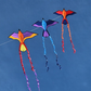 Kids Delta Kite Tropical Parrot Stack Train + Line + Tails + Carry Bag LOT OF-3