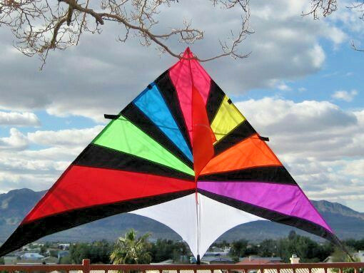 Delta Kite Single Line Huge 104 x 55" + Reel + Line + metal swivel + Bag COMBO