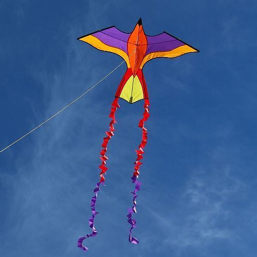 Kids Delta Kite Tropical Parrot Stack Train + Line + Tails + Carry Bag LOT OF-3