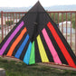 Delta Kite Single line Huge 108" x 59" + RipStop Nylon + Carbon Wrap Spars + Bag