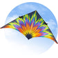HQ Delta Kite Fireworks HUGE 161" x 77" + RipStop Polyester + Carbon Spars + Bag