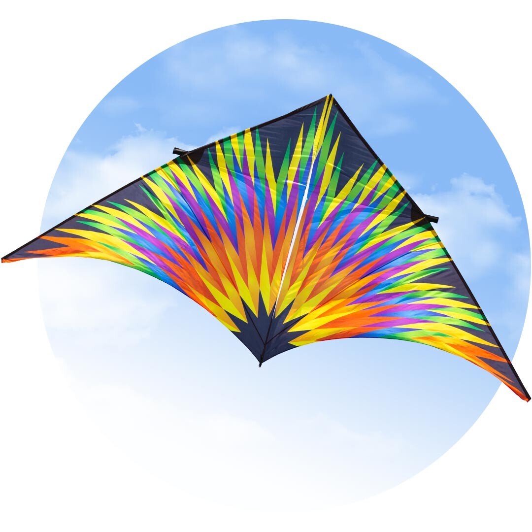 HQ Delta Kite Fireworks HUGE 161" x 77" + RipStop Polyester + Carbon Spars + Bag