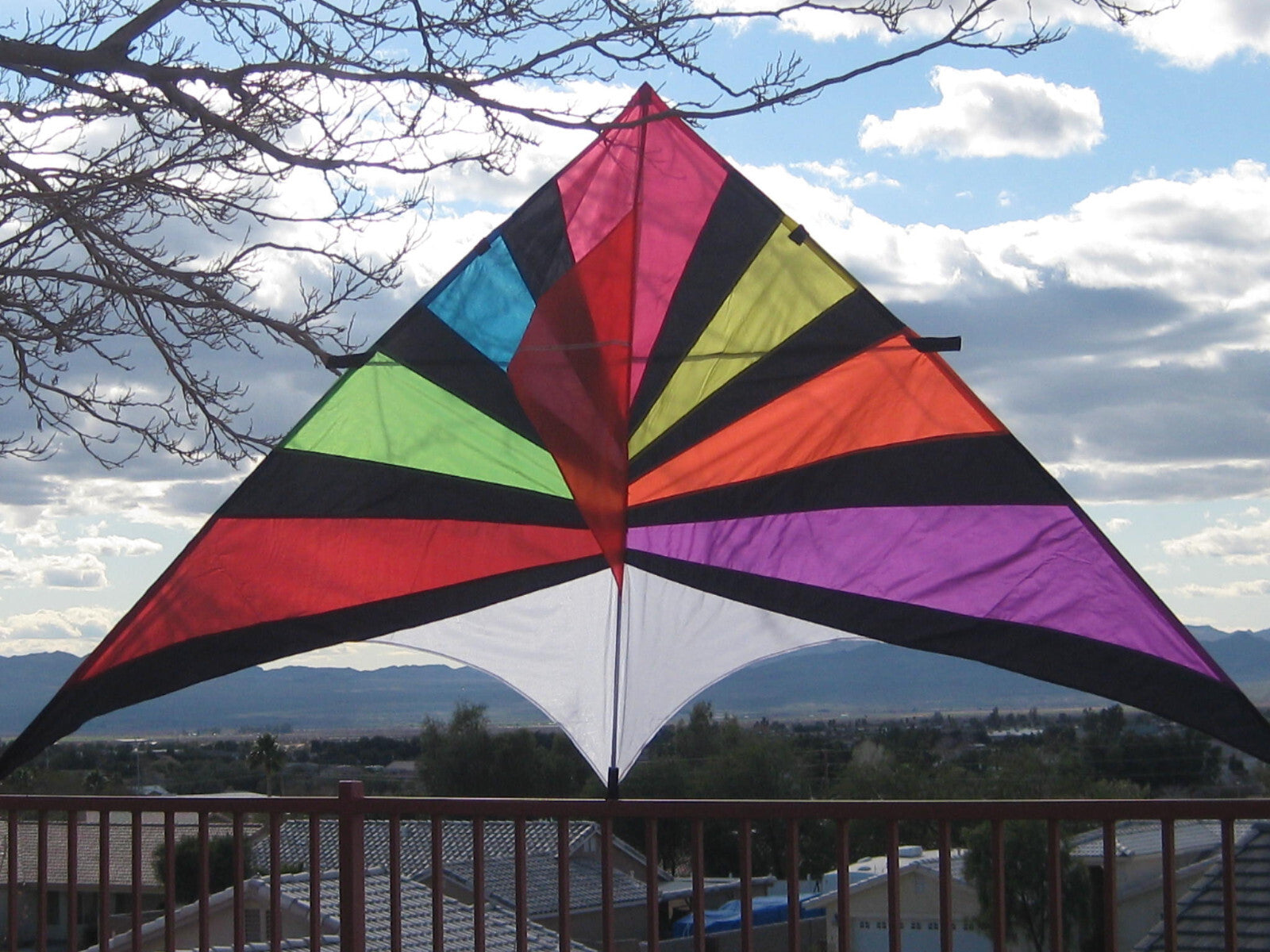 Delta Kite Spars REPLACEMENT SPARS ONLY  "Spine Spars" KITE NOT INCLUDED