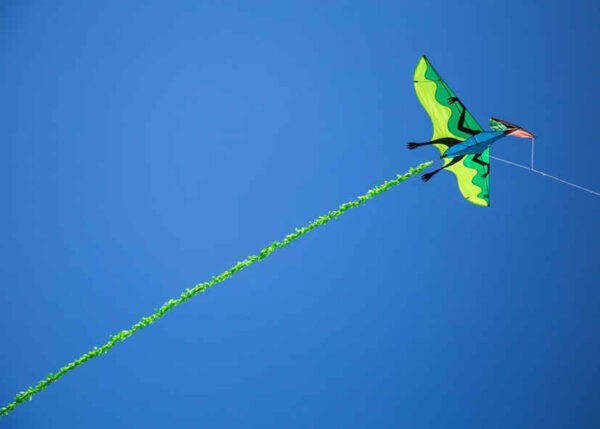HQ Flying Dinosaur Kite 71x41" + Reel + Line + Tail + Quick Clip + Bag