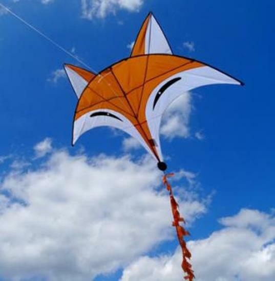 Fox Kids Kite HQ single line + Tail + Line + Handle + Quick Clip + Carry Bag
