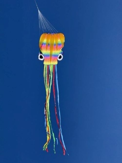 HQ Octopus Kite Rainbow LARGER Size 189" x  87" + Reel + Line + Clip + Carry Bag