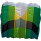 KAP Foil Kite 5.0 Single Line 94"x 79" + 69-ft Fringe Tail by HQ Kites & Designs