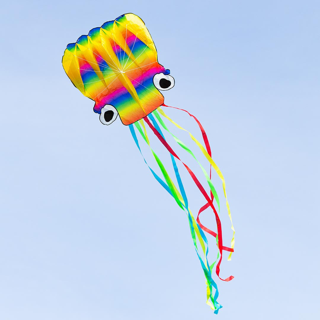 HQ Octopus Kite Rainbow LARGER Size 189" x  87" + Reel + Line + Clip + Carry Bag