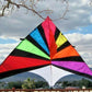 Delta Kite Single line Huge 104 x 55" + RipStop Nylon + Carbon Spars + Bag