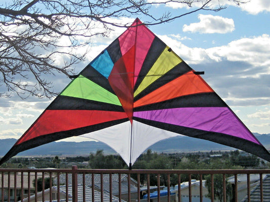 Delta Kite Single Line Huge 104" x 55" + Reel + Line + Swivel + Tail + Bag COMBO