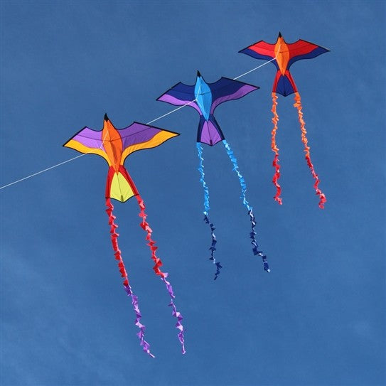 Kids Delta Kite Tropical Parrot Stackable 48" x 33" + Line + Tails + Carry Bag