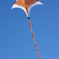 Fox Kids Kite HQ single line + Tail + Line + Handle + Quick Clip + Carry Bag