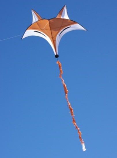 Fox Kids Kite HQ single line + Tail + Line + Handle + Quick Clip + Carry Bag
