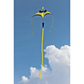 Delta Kite Canard Hoffmann 75x44" + Reel + Line + Swivel + 29 ft Tube Tail + Bag