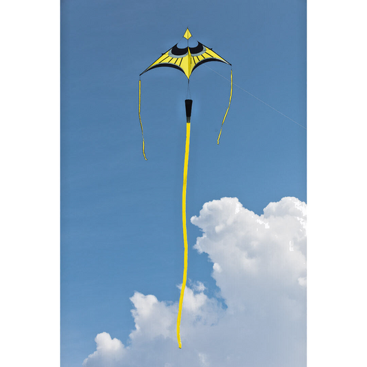 Delta Kite Canard Hoffmann 75x44" + Reel + Line + Swivel + 29 ft Tube Tail + Bag