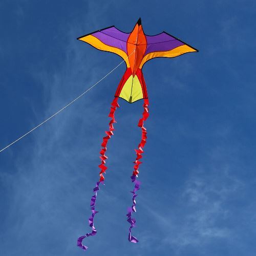 Kid / Children Kites