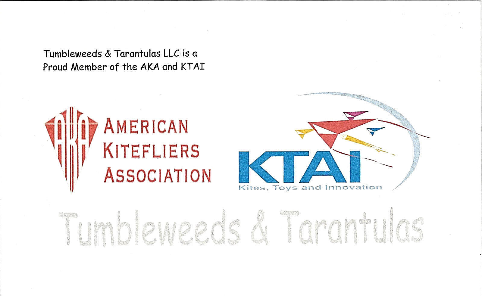 Kids Delta Kite Tropical Parrot Stackable 48" x 33" + Line + Tails + Carry Bag