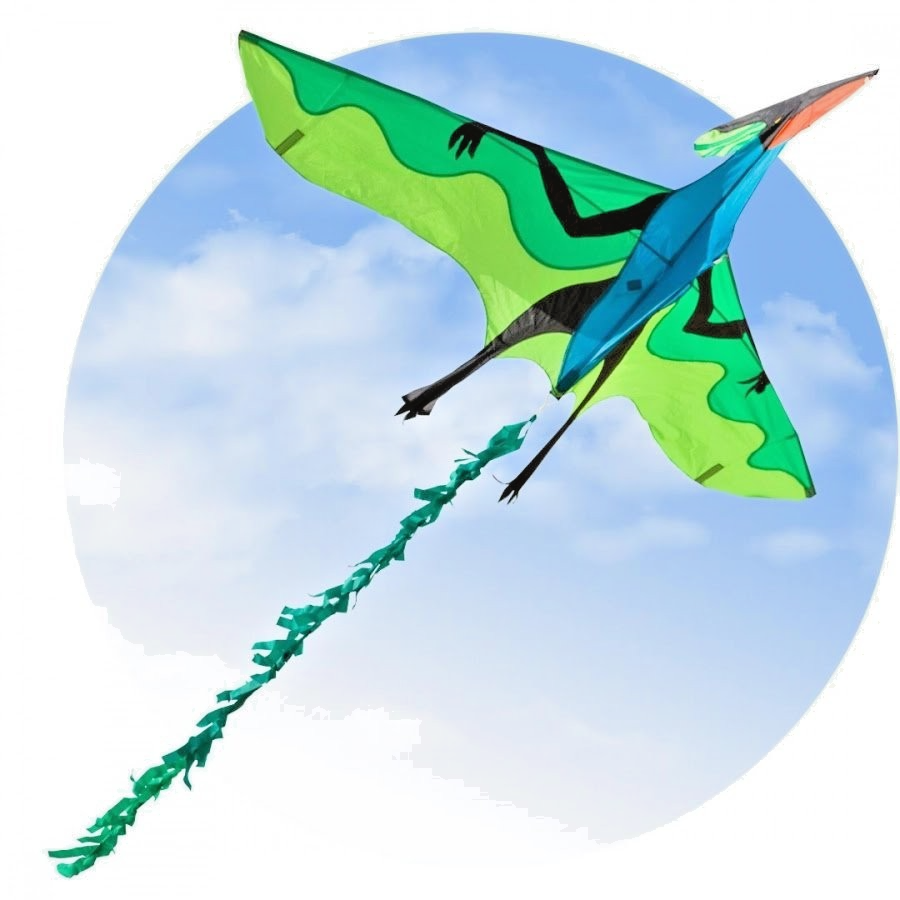 HQ Flying Dinosaur Kite 71x41" + Reel + Line + Tail + Quick Clip + Bag