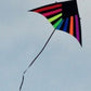 Delta Kite Single Line Huge 108 x 59" + Reel + Line + Swivel + Tail + Bag COMBO
