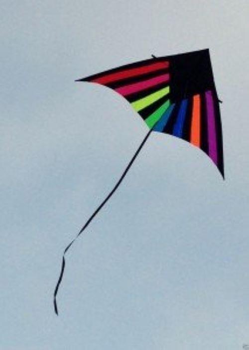 Delta Kite Single Line Huge 108 x 59" + Reel + Line + Swivel + Tail + Bag COMBO