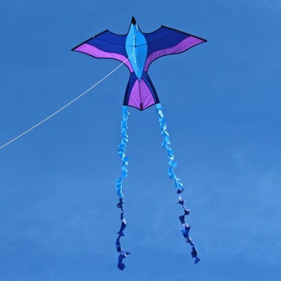 Kids Delta Kite Tropical Parrot Stackable 48" x 33" + Line + Tails + Carry Bag