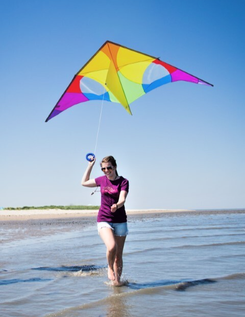 HQ Delta Kite Rainbow Huge 118" x 54" + Reel + Line + Swivel Hook + Bag