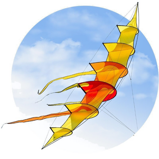 HQ Bow Kite Sunrise Hoffmann Large 118" x 22" + Heavy Duty Carry Bag