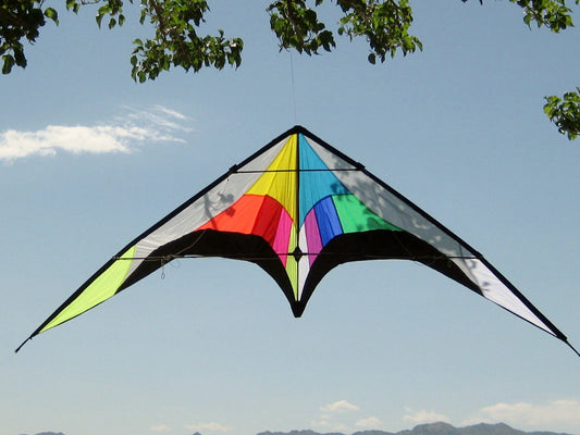 Stunt Kite Dual Line 102" x 30" RipStop Nylon + Fiberglass Spars + 2-Lines + Bag